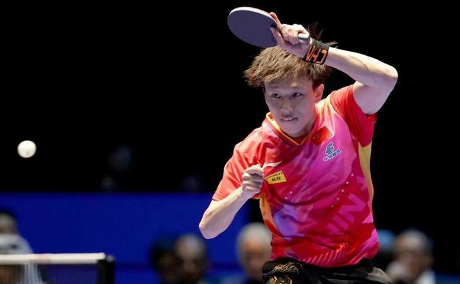 向新求质 向新求质