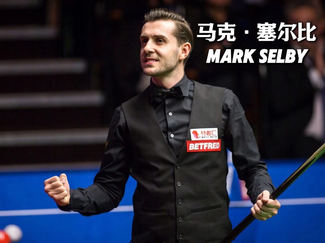 不仅展示了 不仅展示了