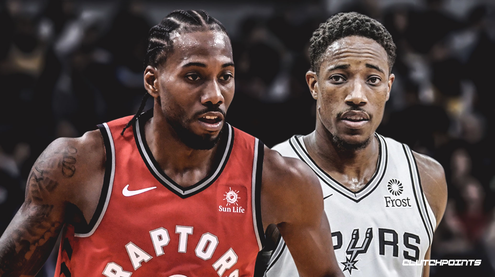 优化新手引 优化新手引